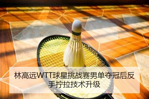 lin-gao-yuan-qiu-xing-tiao-zhan-sai-nan-dan-duo-guan-hou-fan-shou-ning-la-ji-shu-sheng-ji-3-146.jpg
