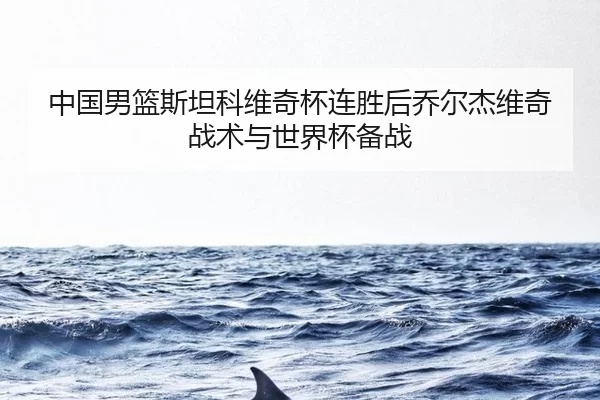 中国男篮斯坦科维奇杯连胜后乔尔杰维奇战术与世界杯备战